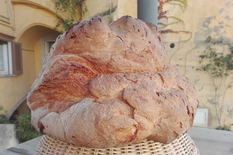 Pane di Matera: the ancient bread of Basilicata