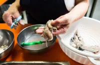 Cuttlefish recipes