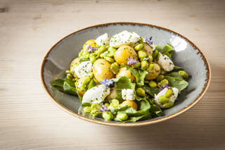 Baby broad bean, new potato and fresh goat’s cheese salad with chive flowers