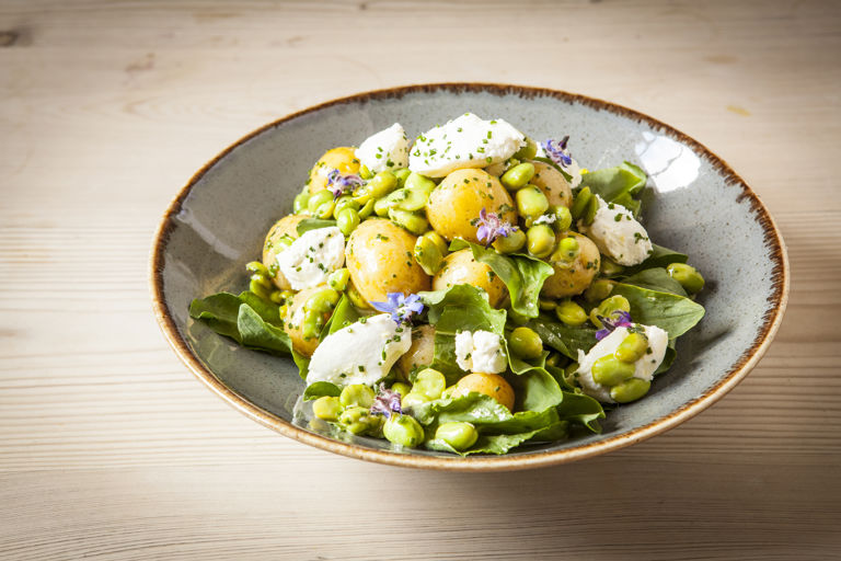Baby broad bean, new potato and fresh goat’s cheese salad with chive flowers