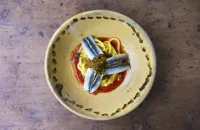Spaghetti with sardines and sicilian breadcrumbs