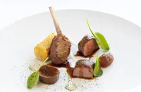 Lamb, sweetbreads and ricotta