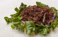 Crispy duck with red cabbage coleslaw and orange watercress salad