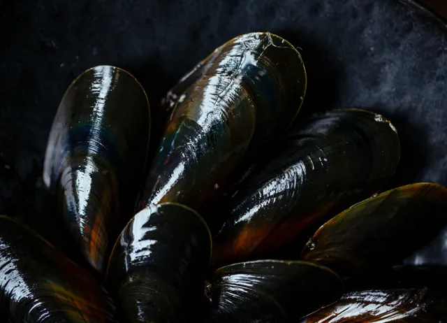 How to cook mussels