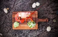 Lobster salad with marinated fennel and chunky, spicy guacamole 