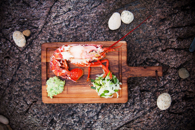 Lobster salad with marinated fennel and chunky, spicy guacamole 