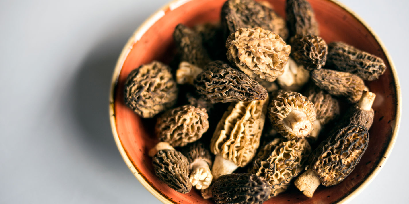 How to Cook Morels Great British Chefs