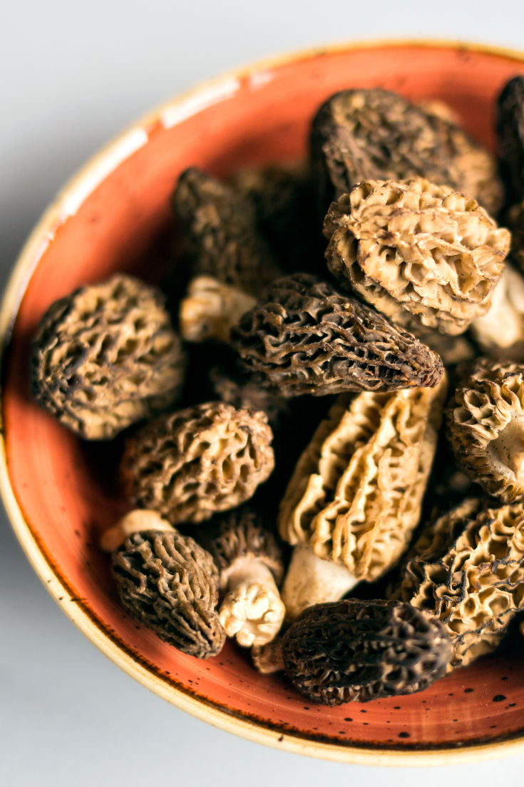 How to Cook Morels Great British Chefs