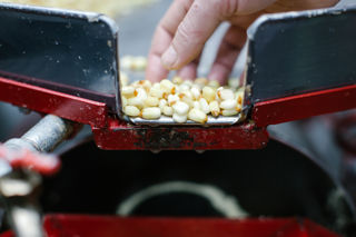 lorem ipsum lorem ipsum 