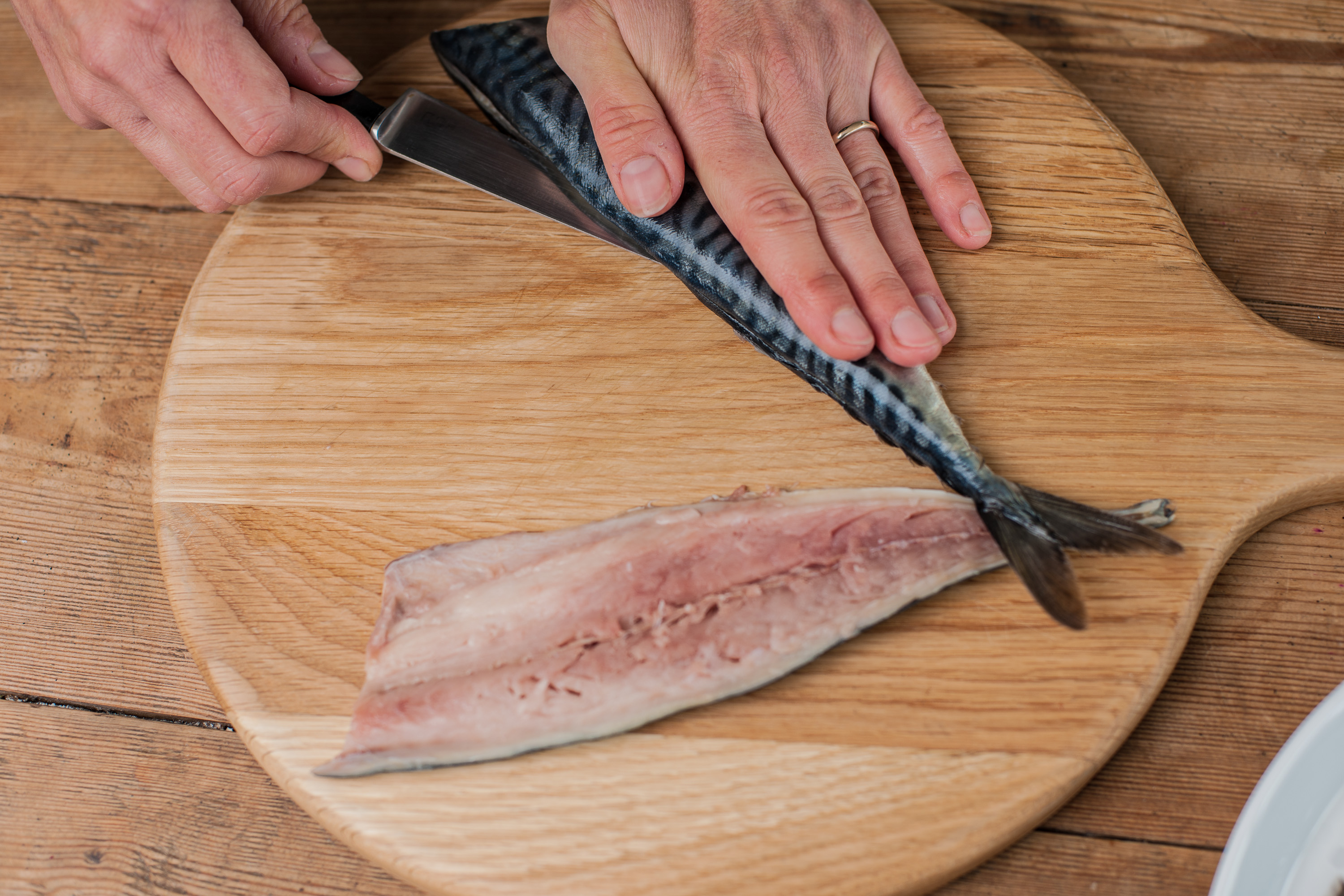 How to fillet a fish, fishes 