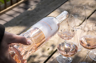 The Nest at Gusbourne: wine tasting and tours in the garden of England