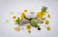 Compressed pineapple, sweet cicely ice cream