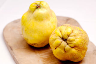 Ingredient focus – quince