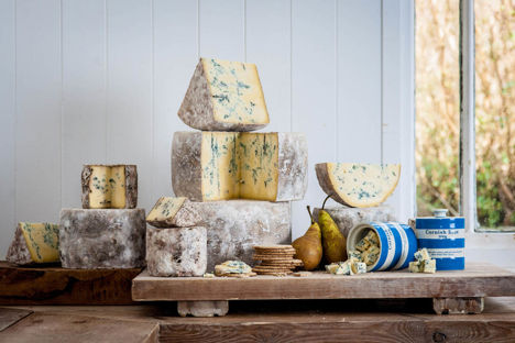 The Cornish Cheese Company: one dairy farmer’s journey to becoming an award-winning cheesemaker