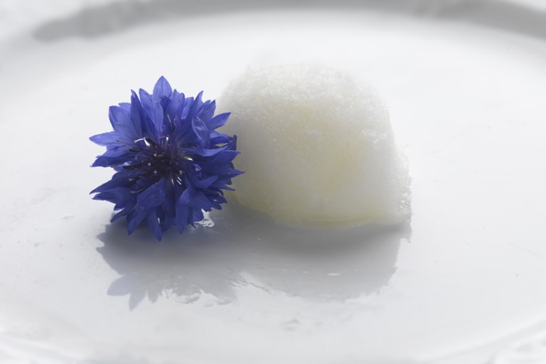 Caipirinha sorbet