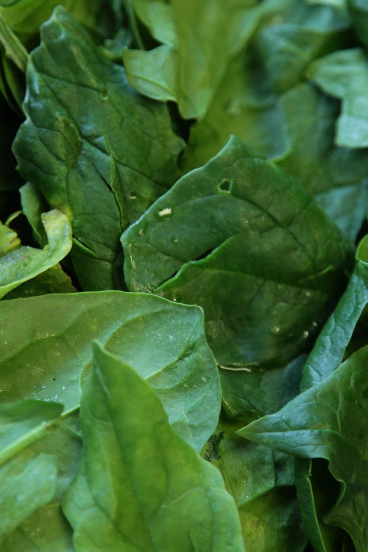 How to Cook Spinach - Great Italian Chefs