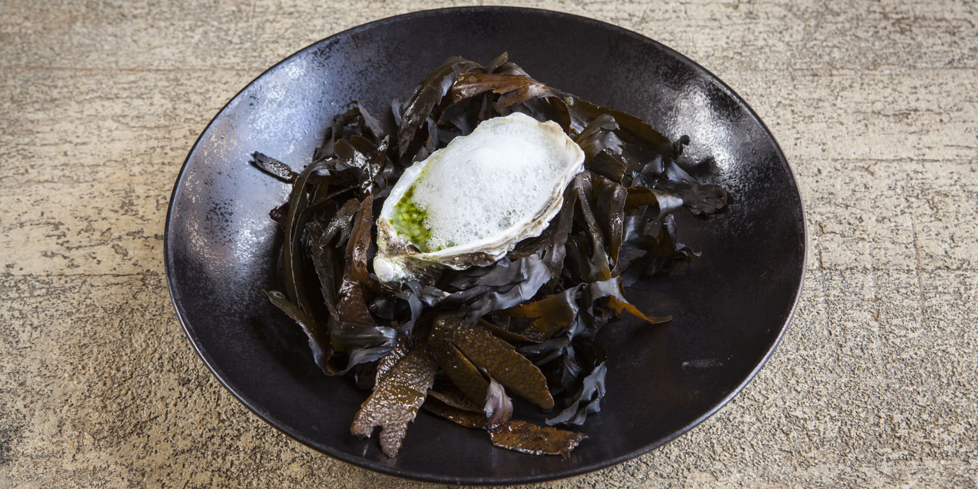 Oysters with Cucumber, Grapefruit and Dill Recipe - Great British Chefs