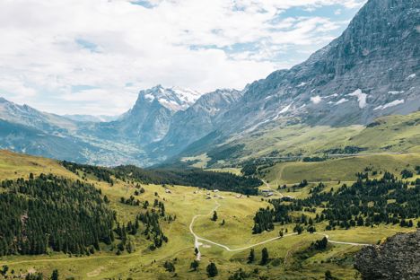 A taste of the mountains: exploring Alpine cuisine