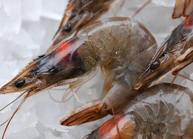 How to cook prawns