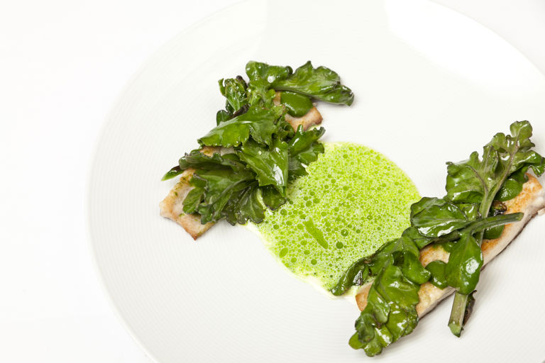Grey mullet with nettle, sea kale, parsley and cream