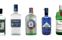 Britain’s best juniper-rich and robust gins