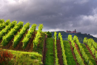 The other faces of Alsace