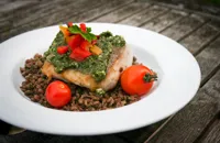 Hake with Coriander Pesto and Chargrilled Tomatoes