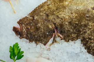How to cook turbot