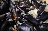 How to prepare mussels