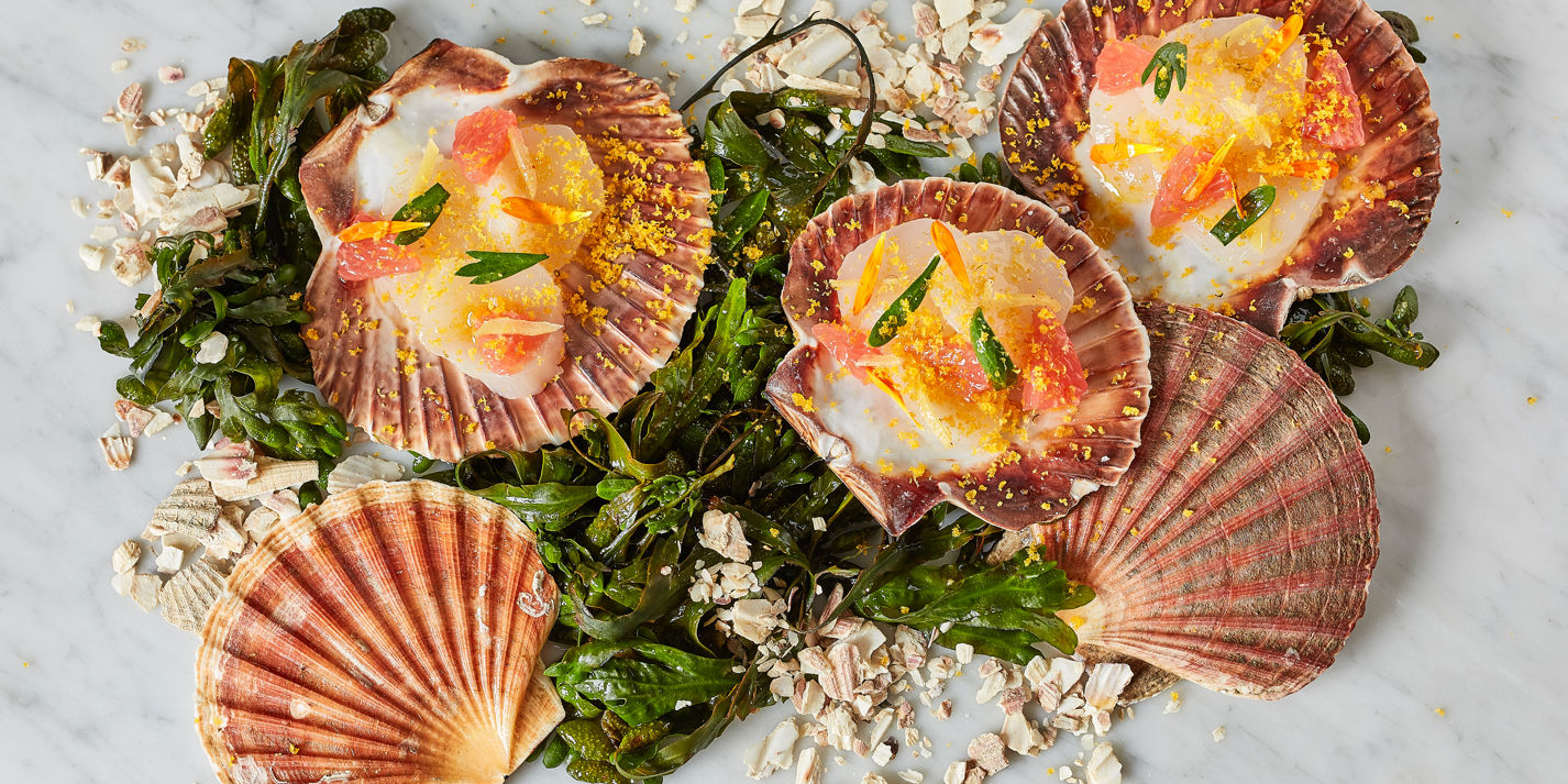 Scallop and Pink Grapefruit Ceviche Recipe Great British Chefs