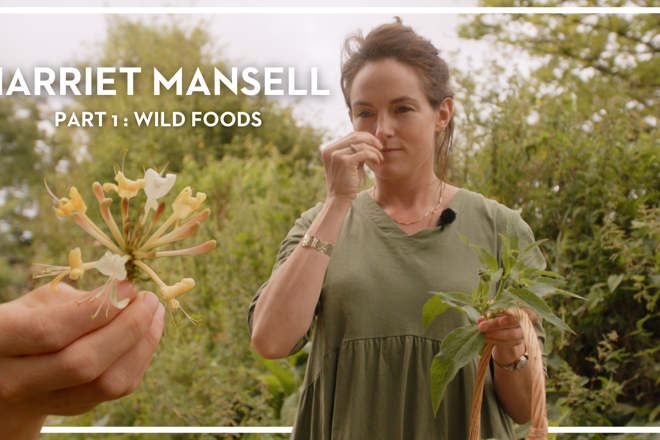 Behind the Pass with Harriet Mansell - Part 1:  Wild Foods