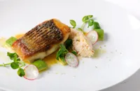 Pan-fried sea bass fillet with white crab salad and brown crab mayonnaise