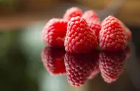 Ingredient focus – raspberry