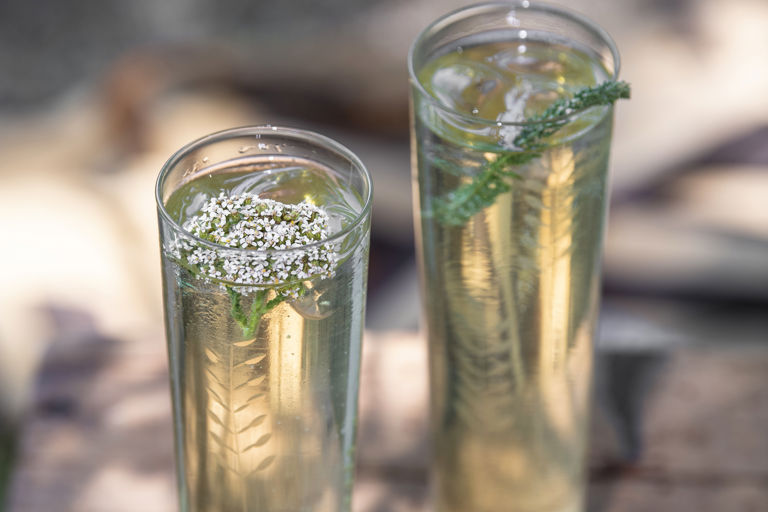 Foraged tonic water