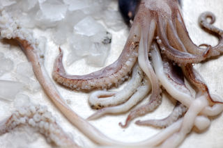 How to cook squid sous vide