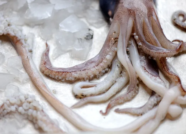 How to cook squid sous vide