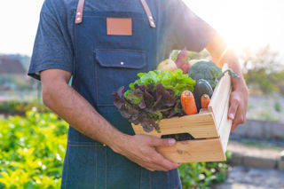 How to eat in a more sustainable way