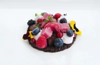 'Undergrowth' - chocolate brownie with berries, radish sorbet and lavender marshmallow