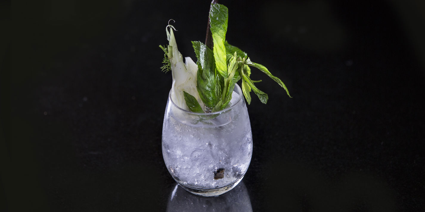 Fennel Gin and Tonic Recipe - Great British Chefs