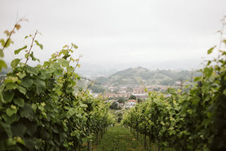 The wine regions of Spain: Txacolí