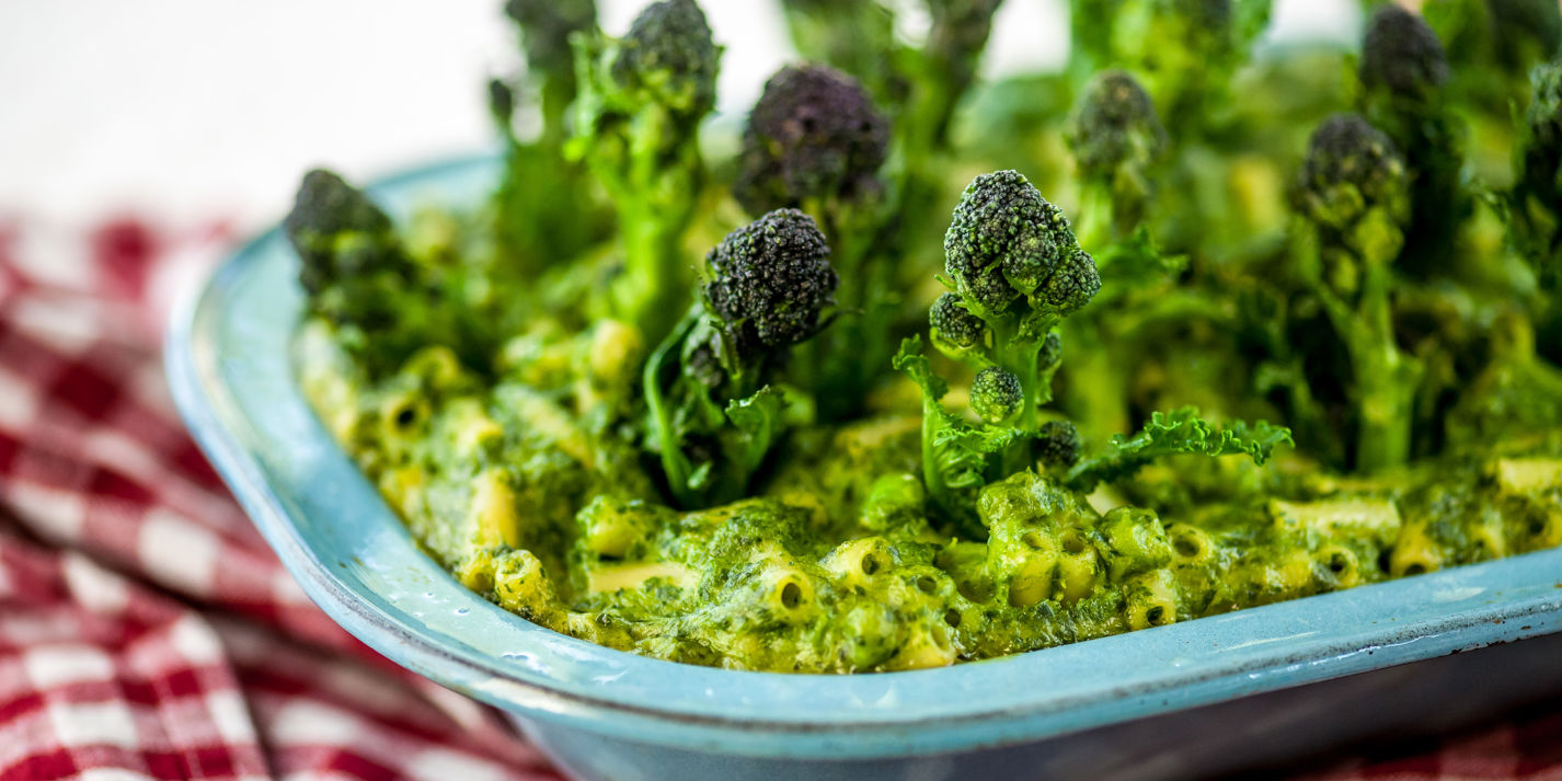 Penne Pasta Forest Recipe - Kids Recipes - Great British Chefs