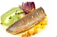 Pan-fried sea bass with broccoli purée and citrus sauce