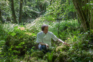 Foraging with Chris Harrod