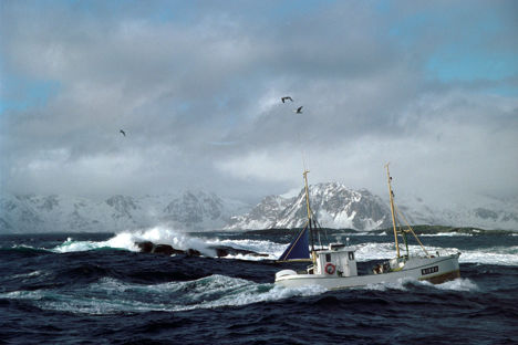 Norwegian cod fishing: a day in the life