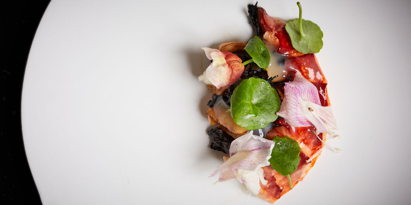 Lobster with Pine, Whey and Wild Mushrooms Recipe - Great British Chefs