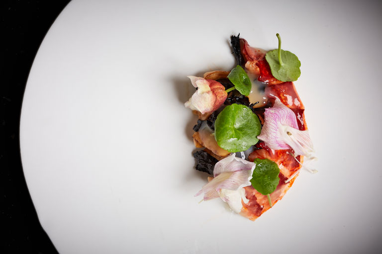 Lobster with whey, pine and mushrooms