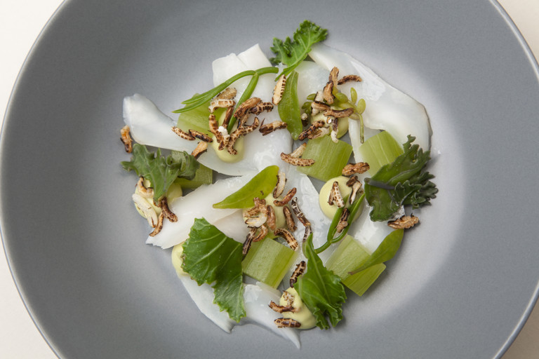 Salt cod - Poached salted cod, avocado, sea vegetables, cucumber