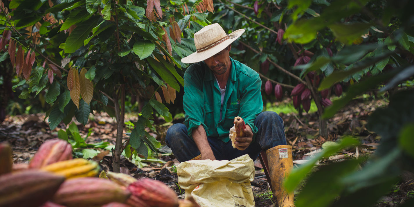 Pots & Co: premium from cocoa pod to pot - Great British Chefs