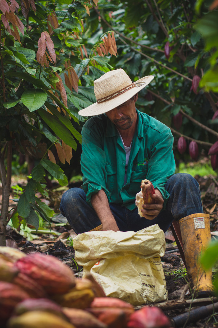 Pots & Co: premium from cocoa pod to pot - Great British Chefs