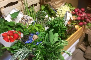 Pine and pasta: cooking the food of South Tyrol